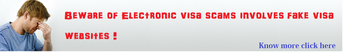 Visaa alert